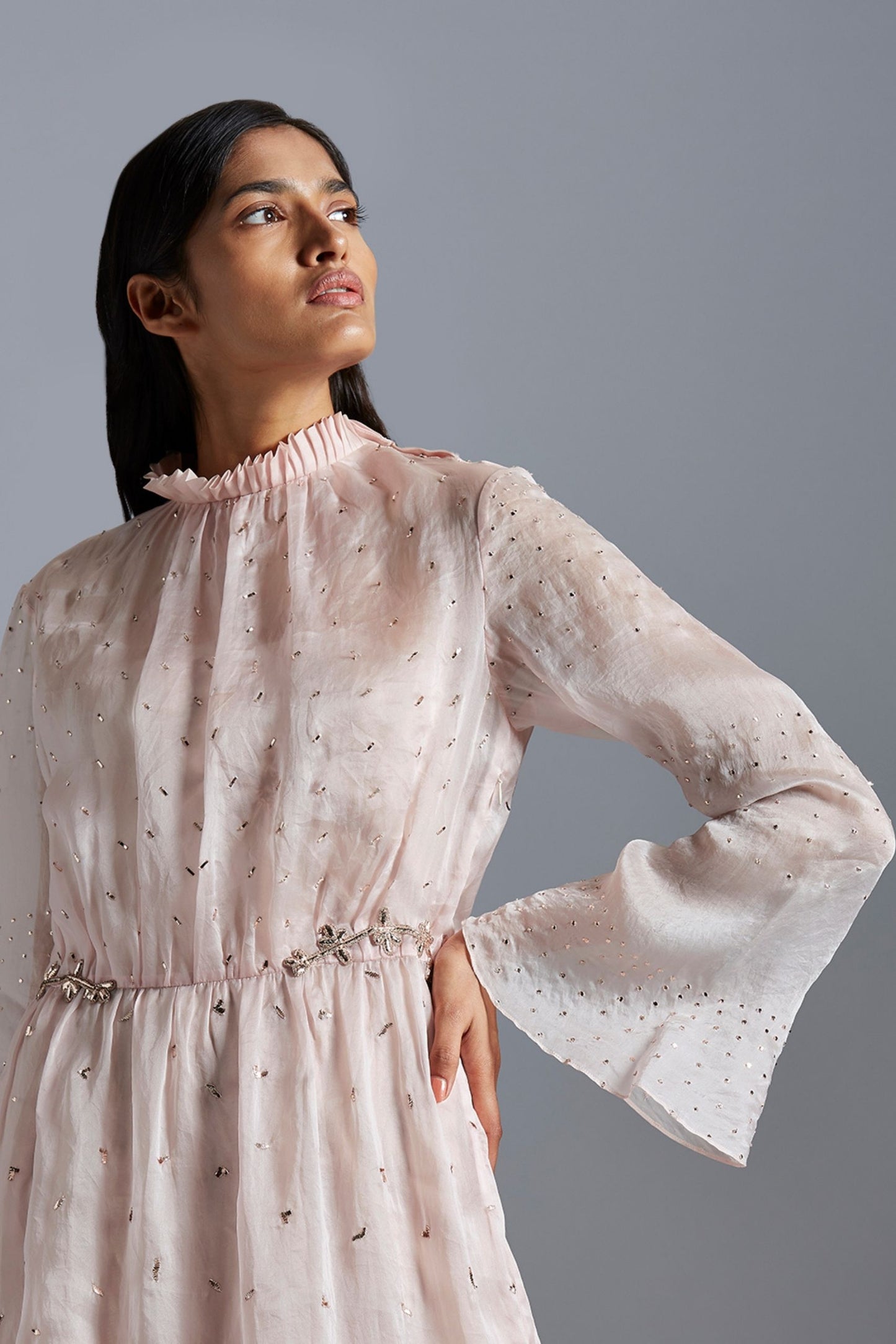 Close-up of mukaish work and intricate detailing on sheer maxi dress